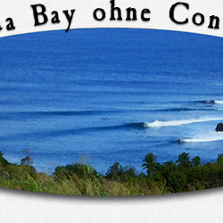 Flache Honolua Bay zwingt Contest Veranstalter zur alternativen Location