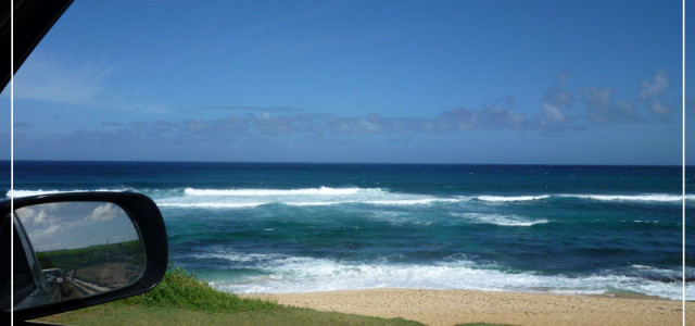 Bild des Tages 22. Oktober 2009