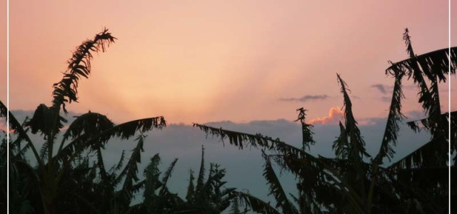 Bild des Tages 27. Oktober 2009