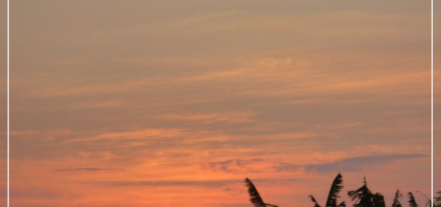 Bild des Tages 29. Oktober 2009