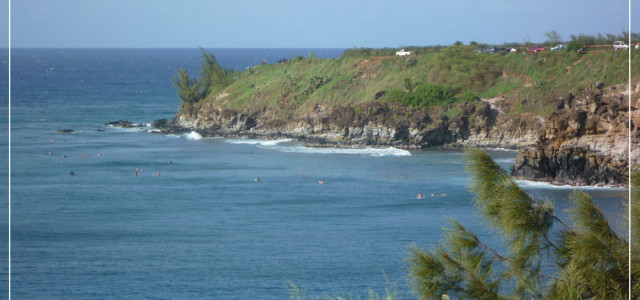 Picture of the day, November 19th 2009 and Contest update